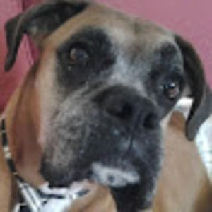 Meet your Posher, Deanna